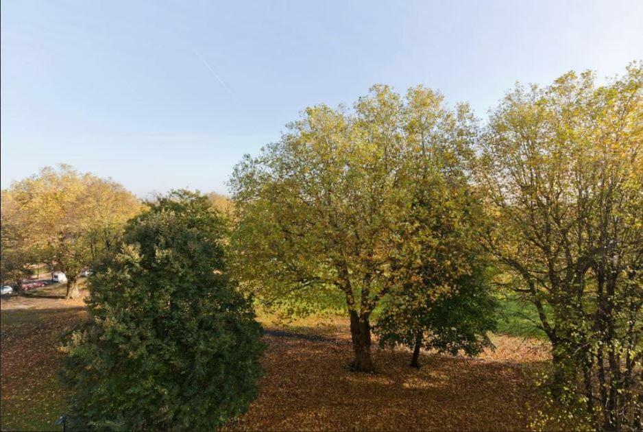Wyatt Court Apartman London Kültér fotó
